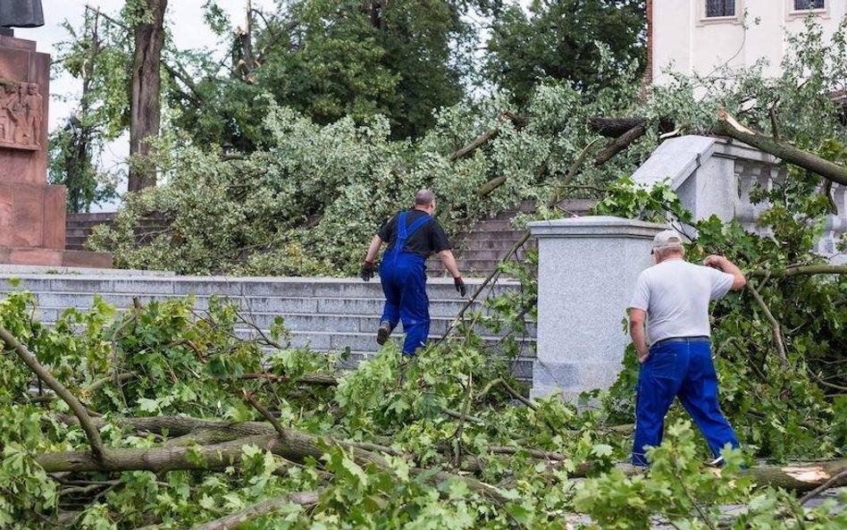 Ubezpieczyciele słono zapłacą za kataklizm