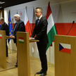 Ministrowie spraw zagraniczny państw Grupy Wyszehradzkiej oraz unijny komisarz Johannes Hahn podczas