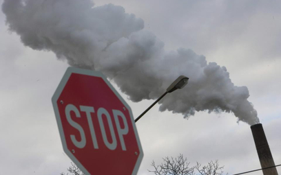 Niemcy deklarują się jako najwięksi zwolennicy ochrony klimatu, a tymczasem Niemcy zużywają najwięce