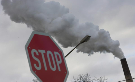 Niemcy deklarują się jako najwięksi zwolennicy ochrony klimatu, a tymczasem Niemcy zużywają najwięce