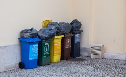 Śmieciowa puszka Pandory - samorządy będą miały kłopoty