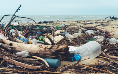 Wyłowienie plastikowych śmieci z mórz i oceanów powstrzymałoby rozpadanie się ich na mikrodrobiny