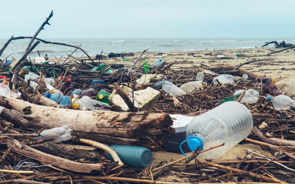 Wyłowienie plastikowych śmieci z mórz i oceanów powstrzymałoby rozpadanie się ich na mikrodrobiny
