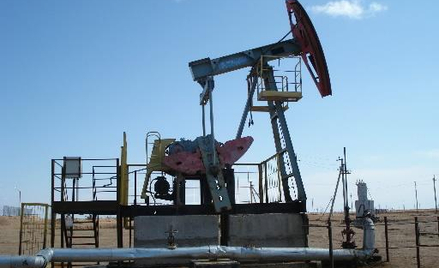 Zarząd GPW postanowił bowiem przypisać notowaniom akcji Petrolinvestu specjalne oznaczenie. Teraz in