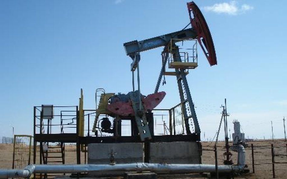 Zarząd GPW postanowił bowiem przypisać notowaniom akcji Petrolinvestu specjalne oznaczenie. Teraz in