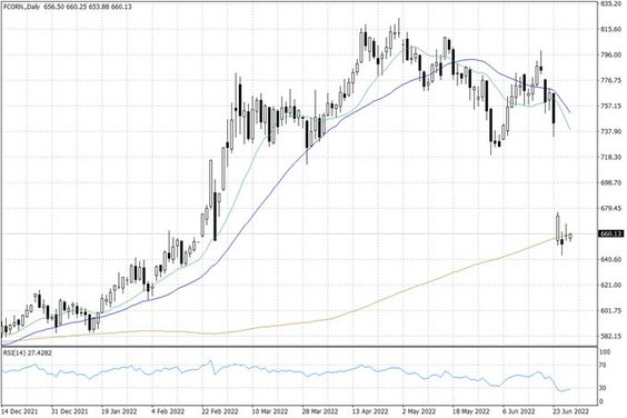 Notowania kukurydzy w USA – dane dzienne