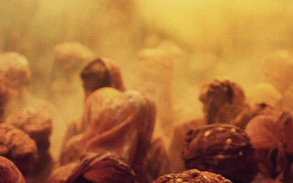 Vijay Iyer/Prashant Bhargava "Radhe Radhe: Rites of Holi", ECM/Universal, DVD, 2014