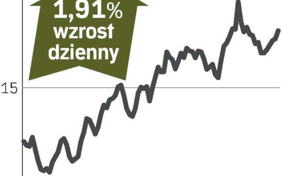 Koreańczycy chcą kupić aktywa