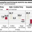 Popyt na kredyty spadnie