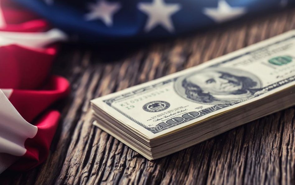 Budżet federalny USA. Turyści na lodzie, Statua Wolności zamknięta