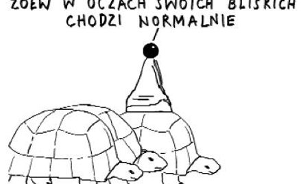 Komentarz rysunkowy