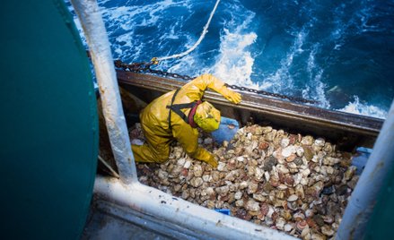 Trudny problem w handlu z Irlandią Północną