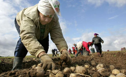Bardziej aktywne, mniej zarabiają