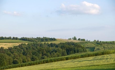 Odrolnienie gruntu – jak to zrobić