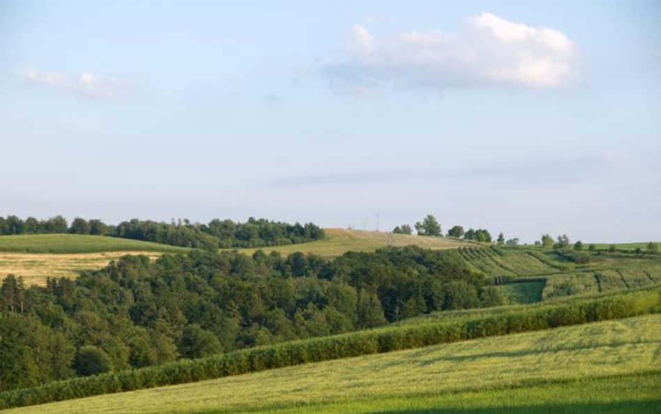 Odrolnienie gruntu – jak to zrobić