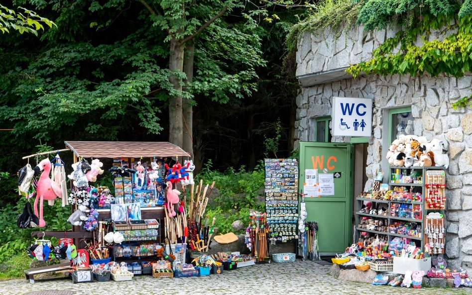 Z toaletami w górach nie jest dobrze. Ciekawe wyniki ankiety