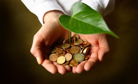 Zielona energia ze zwolnieniem z akcyzy