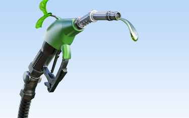 Unia na biopaliwowym kursie