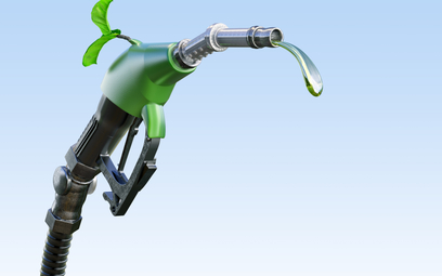Ceny biopaliw rosną, a trzeba ich coraz więcej