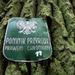 Pomnik przyrody