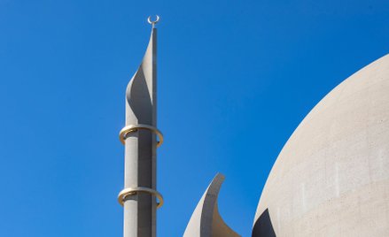 Tylko garstka imamów to islamscy teolodzy.