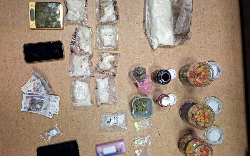 W czasie ferii funkcjonariusze zabezpieczyli ponad 13 kilogramów substancji narkotycznych i psychotr