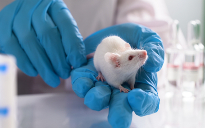 Naukowcy wyhodowali komórki jajowe myszy z komórek skóry samca
