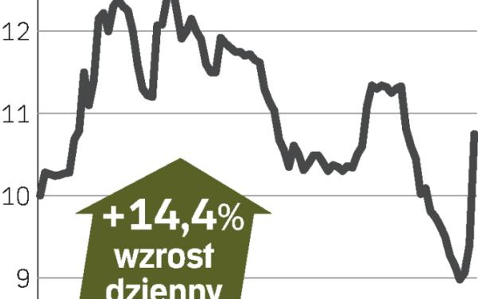 Grajewo mocno w górę na giełdzie