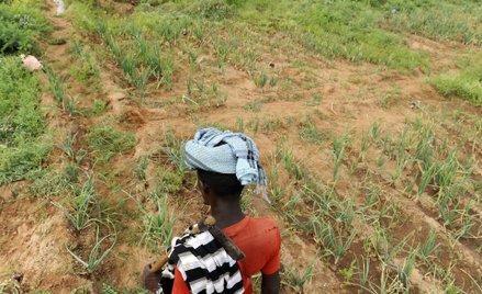 Suszy doświadcza m.in. Somalia