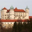 Zamek w Wiśniczu