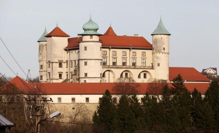 Zamek w Wiśniczu