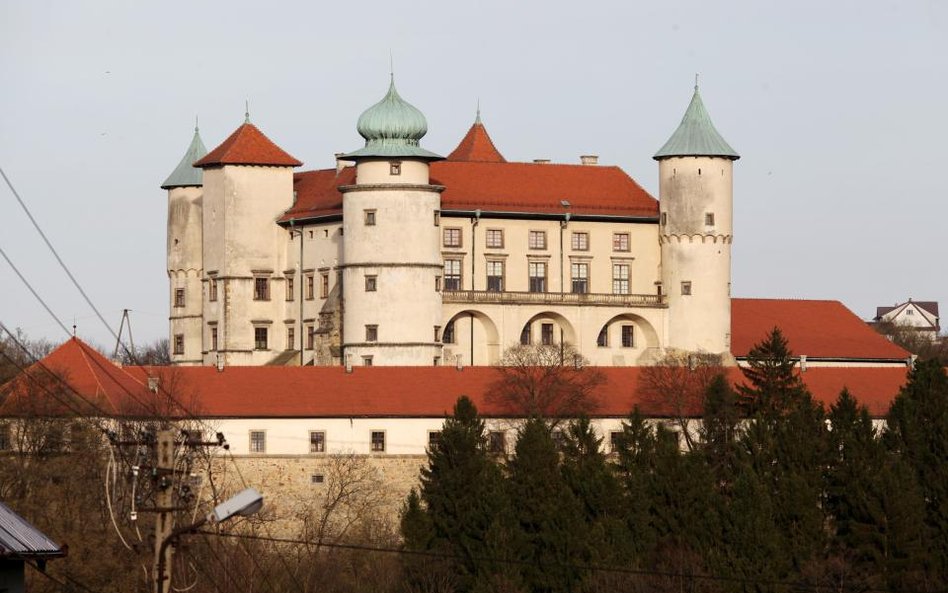 Zamek w Wiśniczu