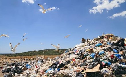 Przywieziono do Polski rekordową ilość śmieci. Odpady m.in z Australii