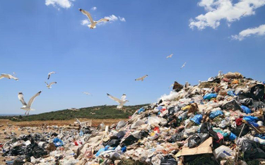 Walka z mafią śmieciową: samorządy krytyczne do propozycji rządu