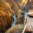 Największym zagrożeniem na drogach Gruzji są dziury w jezdni i pasące się zwierzęta