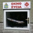 W oknach życia dzieci są bezpieczne