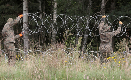 Montaż drutu kolczastego na granicy pomiędzy Polska i Białorusią w pobliżu miejscowości Grzybowszczy