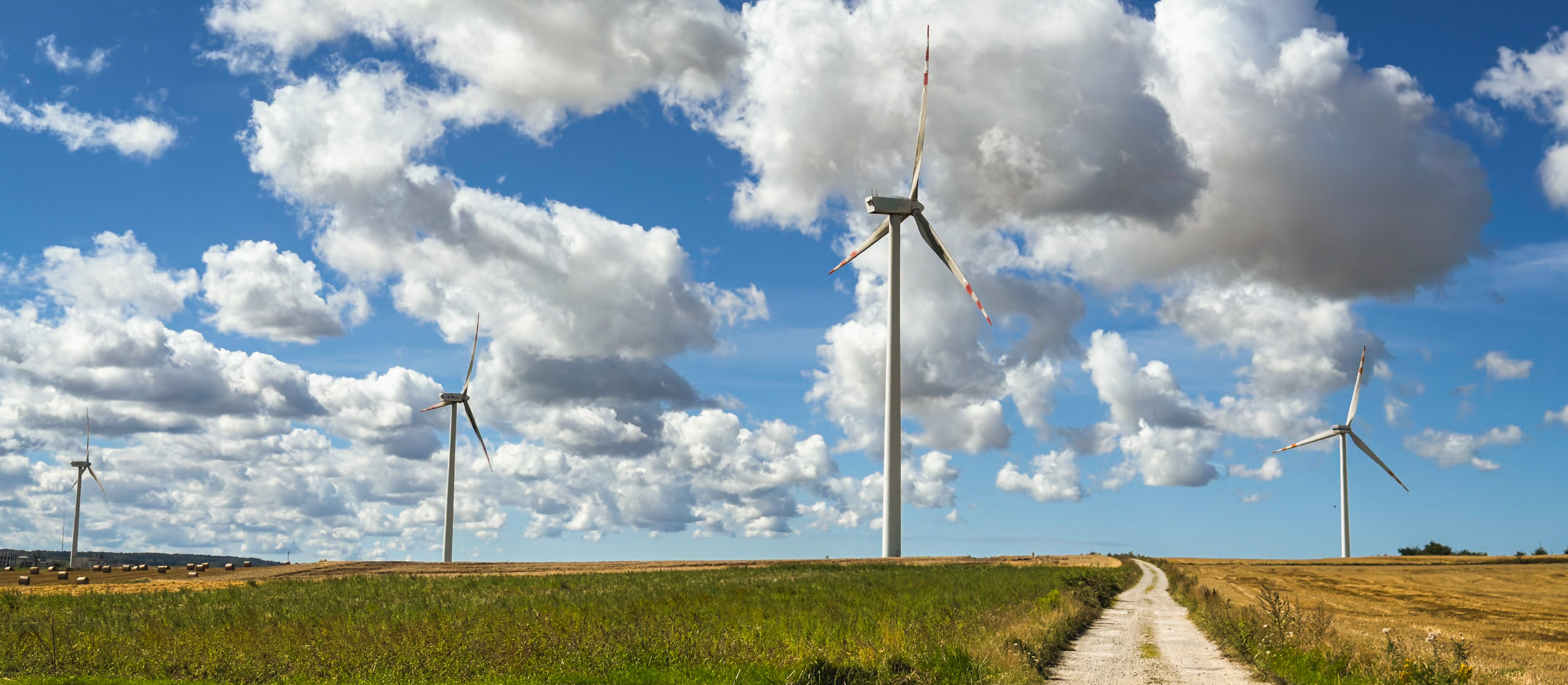 20 tys. zł dla mieszkańców? Rząd planuje kolejne podejście do ustawy wiatrakowej