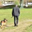 Gdzie można wyjść na spacer z czworonogiem