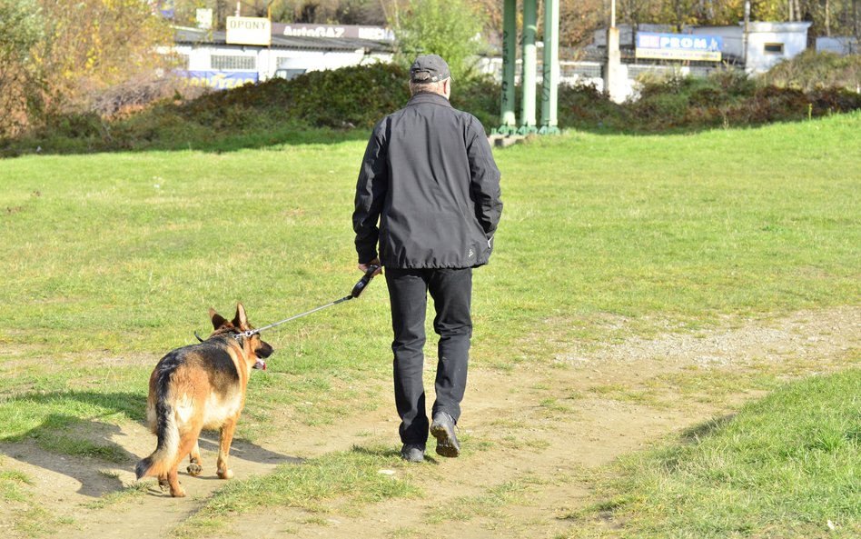 Gdzie można wyjść na spacer z czworonogiem