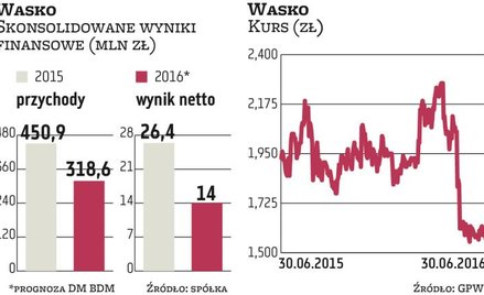Wasko z apetytem na przejęcia. W co celuje?