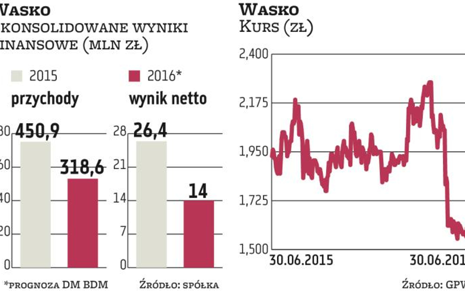 Wasko z apetytem na przejęcia. W co celuje?