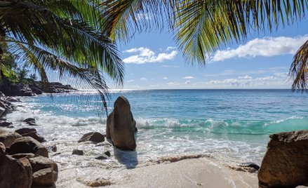 Seszele zależy od turystyki: ta gałąź gospodarki zapewnia 70 procent wpływów do budżetu.