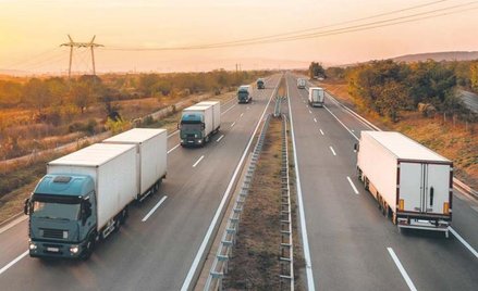Jednym z kluczowych problemów branży transportowej w Polsce jest brak kierowców. Tych wyraźnie ubyło