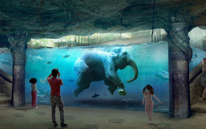 Koniec zoo – czas na Orient