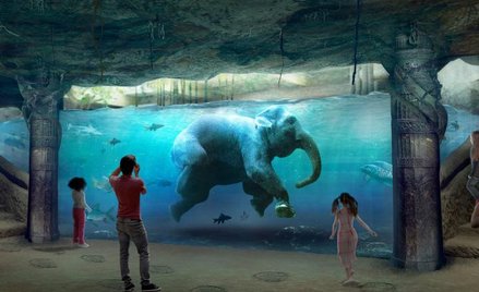 Koniec zoo – czas na Orient