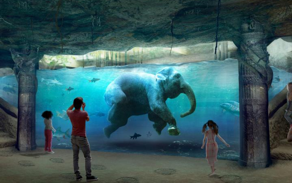 Koniec zoo – czas na Orient