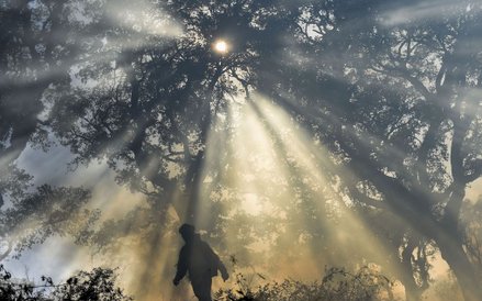 Hiszpański strażak gaszący pożar lasu w Los Barrios, niedaleko Kadyksu. Według danych ministerstwa r