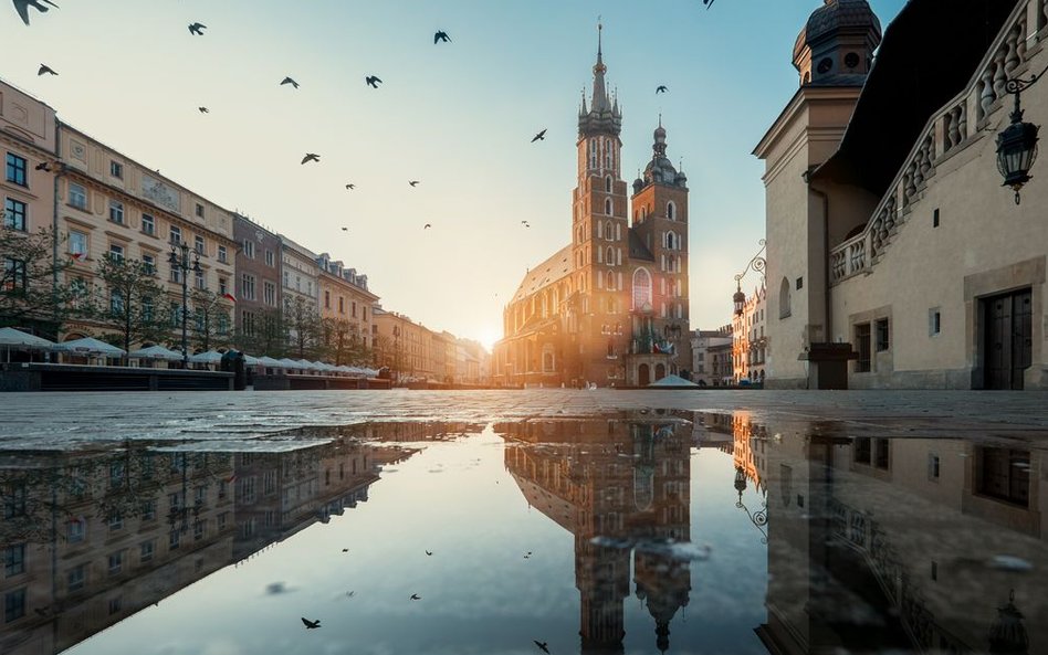 Kraków, miasto noblistów: Szymborskiej i Miłosza.