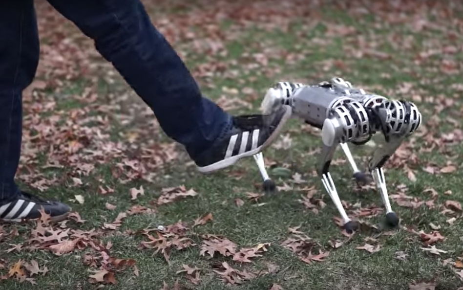 Pies przyszłości. Ten robot potrafi robić salta